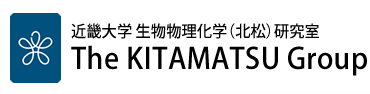 近畿大学 生物物理化学（北松）研究室 The KITAMATSU Group