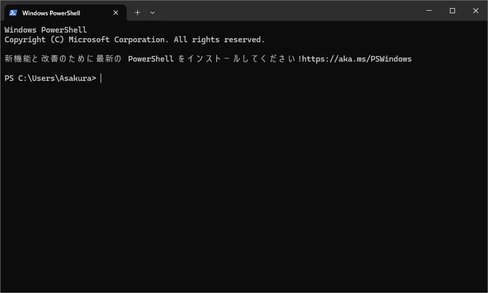 _images/Windows_terminal.png