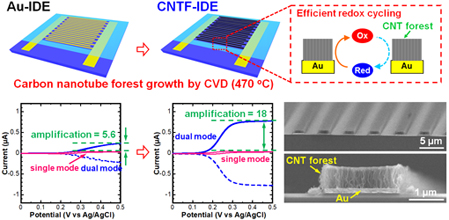 Interdigitated electrode with dense carbon nanotube forests on conductive supports.
