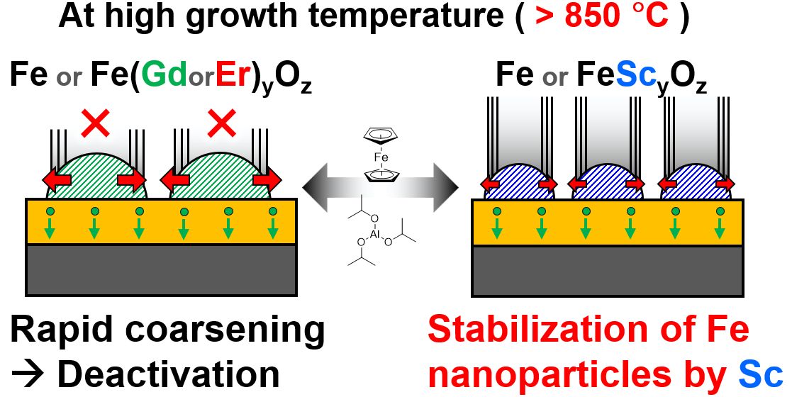 Stabilization mechanism of Fe catalyst nanoparticles by rare-earth cocatalysts