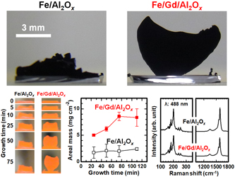 Single-wall carbon nanotube forest by iron/gadolinium/aluminum catalyst.