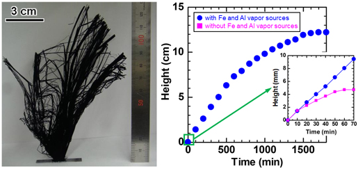 The longest carbon nanotube forest grown at 750 °C for 32 h