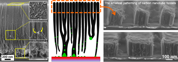 A schematic of growth mechanism of ultra-high mass density carbon nanotube forests and the smallest patterning of carbon nanotube forests grown at 450 °C on conductive supports