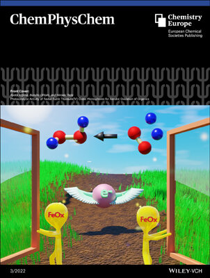 ChemPhysChem2022-front_small.jpg